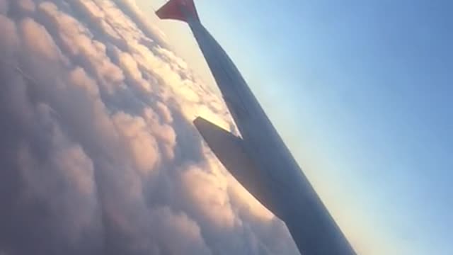 The plane in the sky