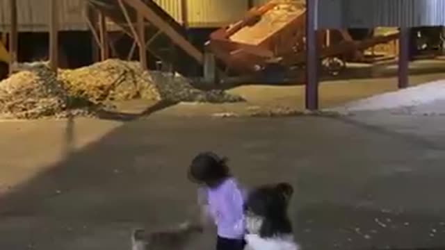 Baby and dogs 🐕 funny video