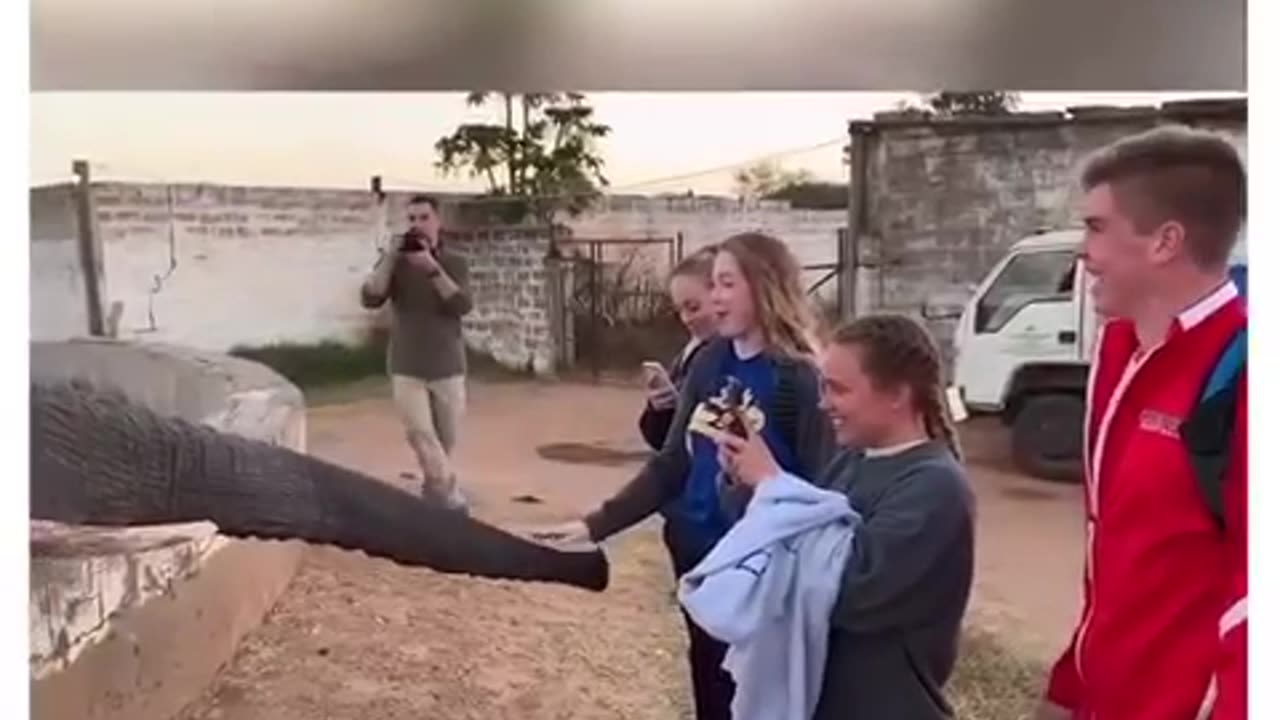 It didn’t like to be filmed 😂