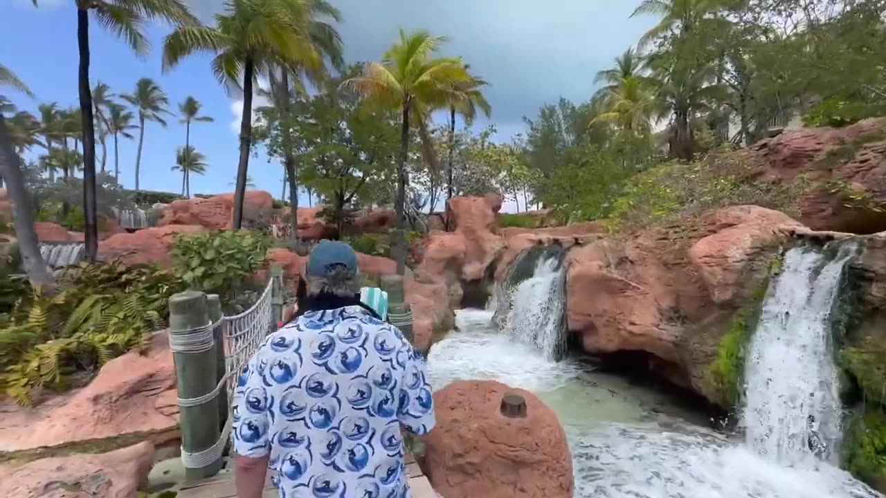 Predator Aquarium in Paradise Island, Bahamas