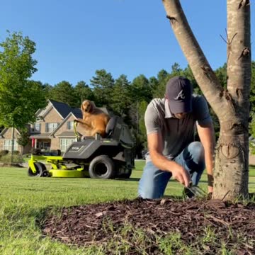 😂😂😂😂😂😂😂😂