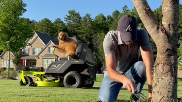 😂😂😂😂😂😂😂😂