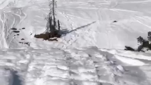 The speed depends on Alaska
