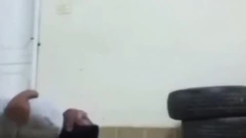 Funny and weird video part 16