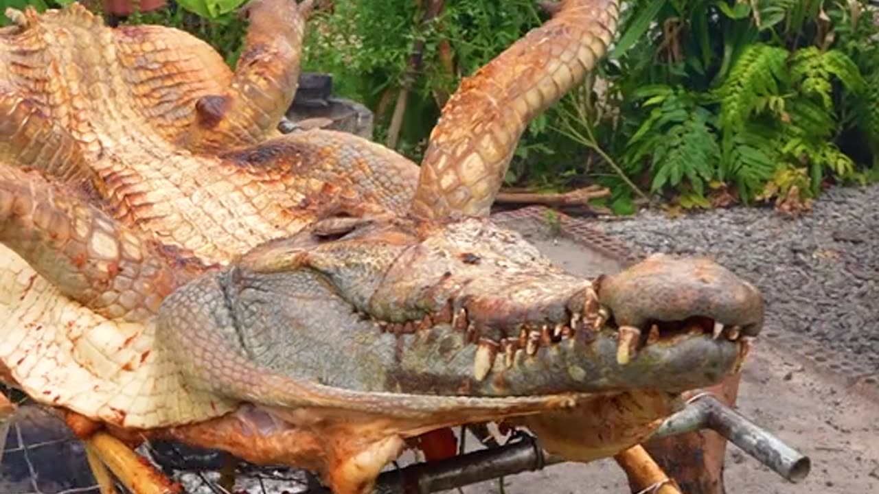 Amazing Crocodile Grilled Classic Recipe Ingredients Eating in Village