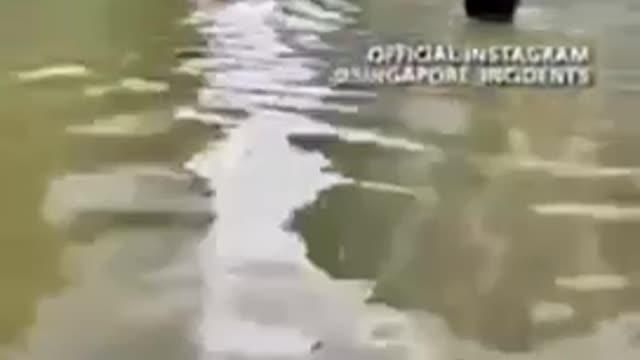 The flooding gives a harvest of fishes for some in Malaysia