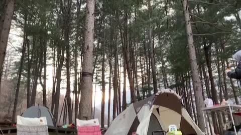 Campsite surrounded by trees in Gyeonggi-do, South Korea