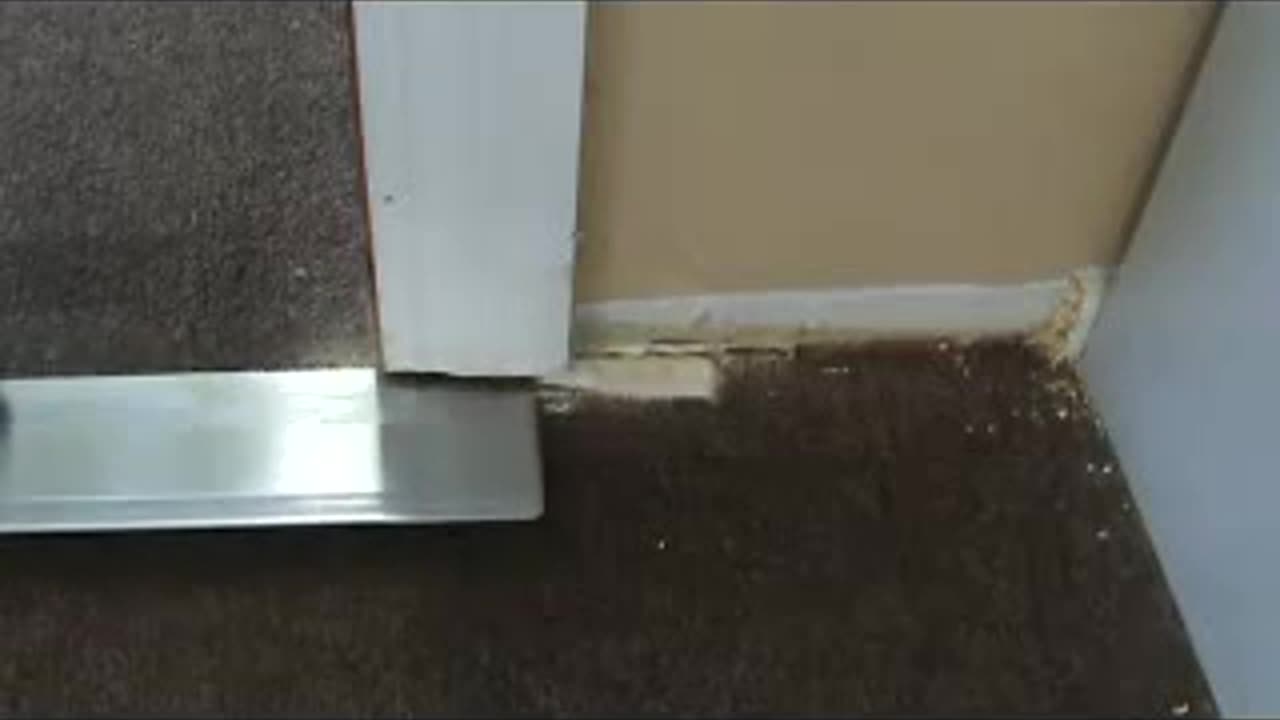 How to Install Hardwood Floor How to Undercut Door Casing