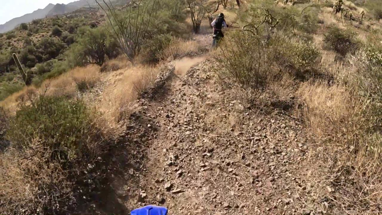 Cactus action fun Arizona Single Track on my YZ250X