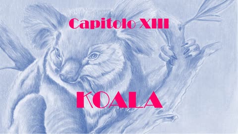 Capitolo XIII - Koala