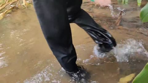 cari ikan di pinggiran kebun dapat banyak babon-8