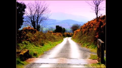 The Old Bog Road - Frank Harte (Mick Maloney) 3-01-2021