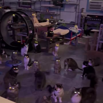 "Experience the Vibrant Beat: Unleashing the Thrilling Nightlife That'll Leave You Breathless!"