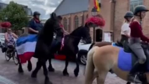 Firefighters, Truckers, and Now Horse Breeders Join the Dutch Farmers In Protest