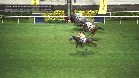 Horce_Race_2022051102_English