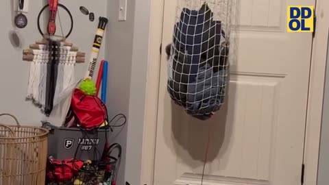 funny video