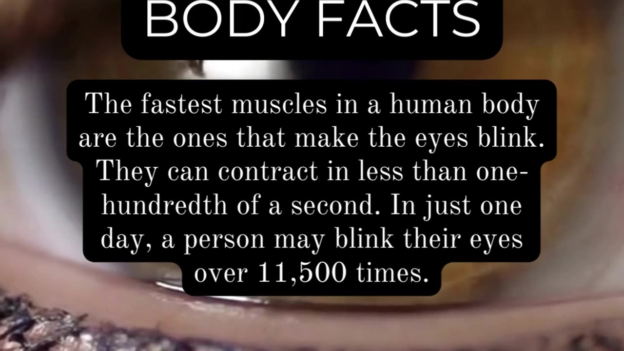 Fascinating Human Body Facts: Things You Never Knew