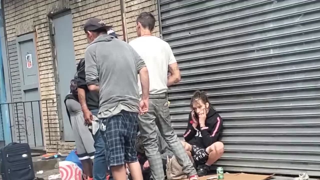 Dear Members of Congress