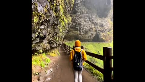 One of the most unique waterfalls in Oregon ( US State ) 🍃💚