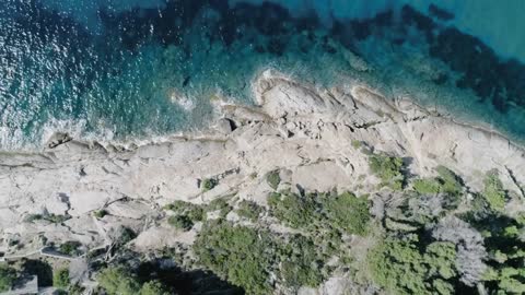 Locman - Montecristo 41 Mm