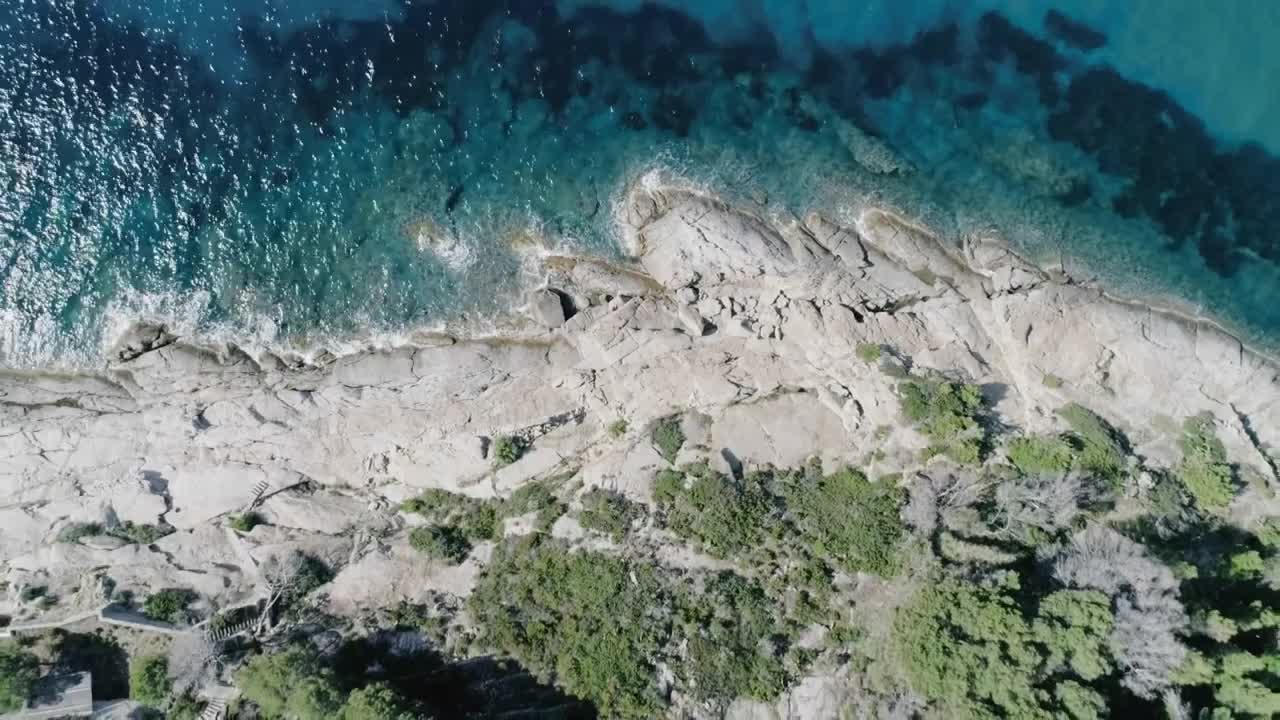 Locman - Montecristo 41 Mm