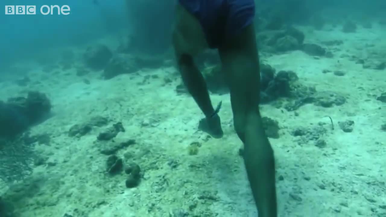 ‪Superhuman Filipino diver from the Badjao tribe ;BBC