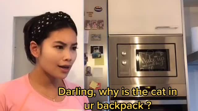 Monday, Kitten Goes To School 🐱