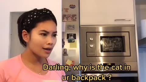 Monday, Kitten Goes To School 🐱