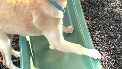 Slipping on the slide