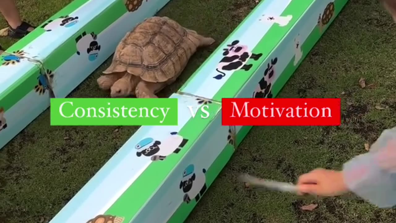 "Slow & Steady Wins the Race" - A Demonstration