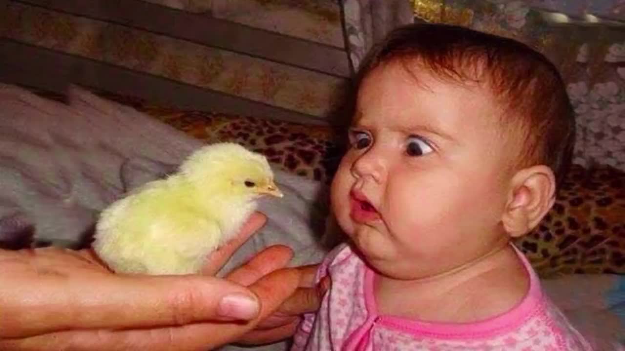 Cute Baby and Funny