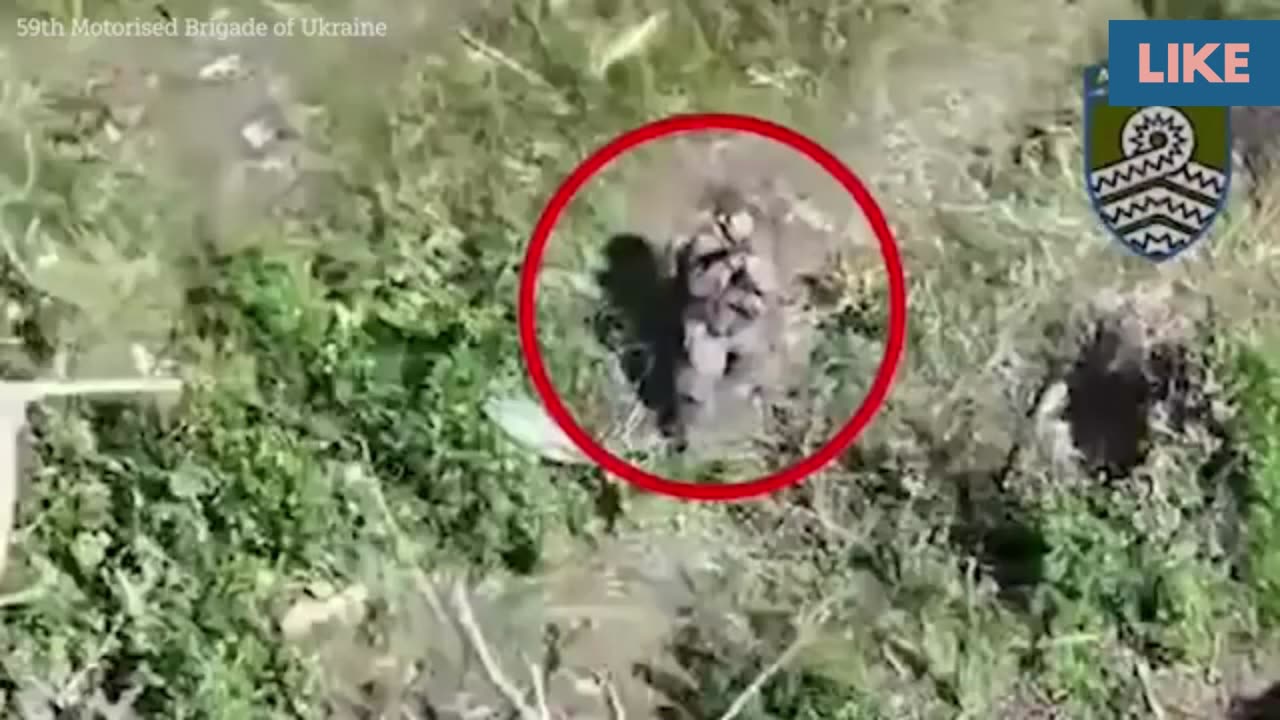 Shocking video from Ukraine:Fierce Attack: Ukrainian Brigade Strikes Russian Forces