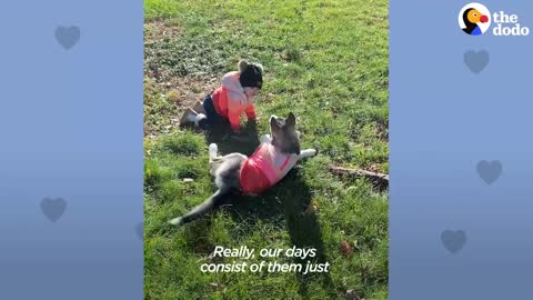 Special bond of a baby girl and the puppy husky