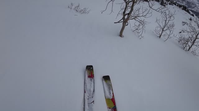 First tracks down Mary's boundry