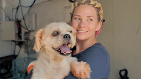 Young women volunteer is holding a stray dog in hands and smiling in animal shelter