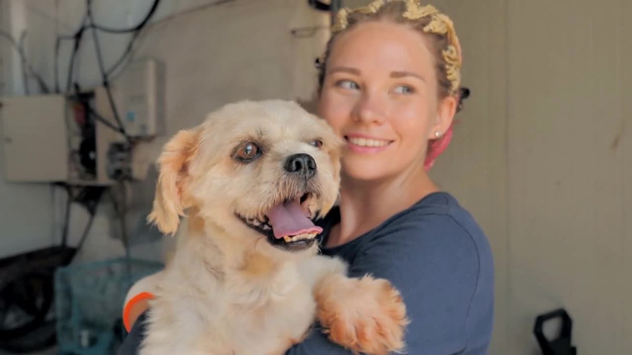 Young women volunteer is holding a stray dog in hands and smiling in animal shelter