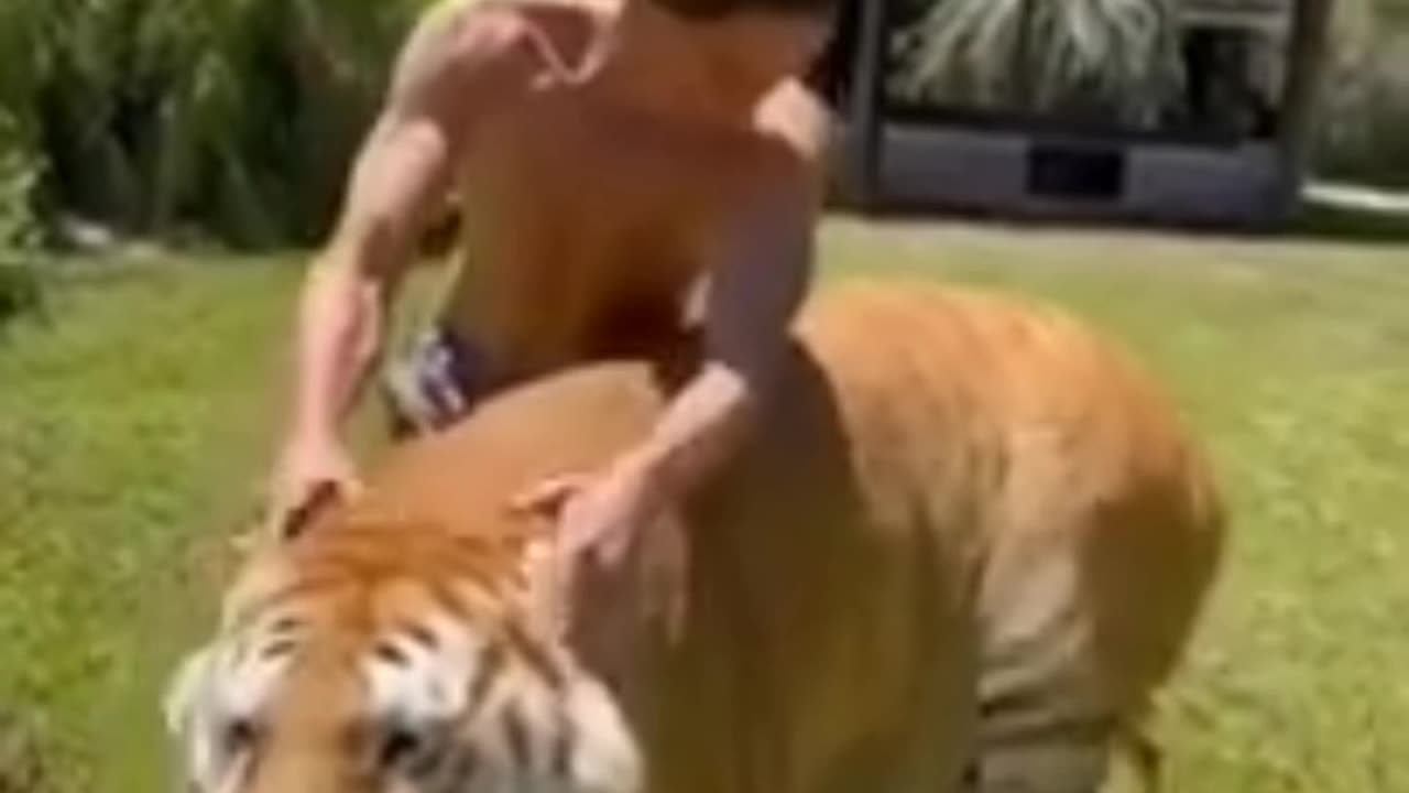 Best Funny Animal Videos of the year (2023), funniest animals ever. relax with cute animals video