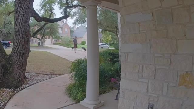 Neighbor Walking Dogs Returns Wallet 😍👍