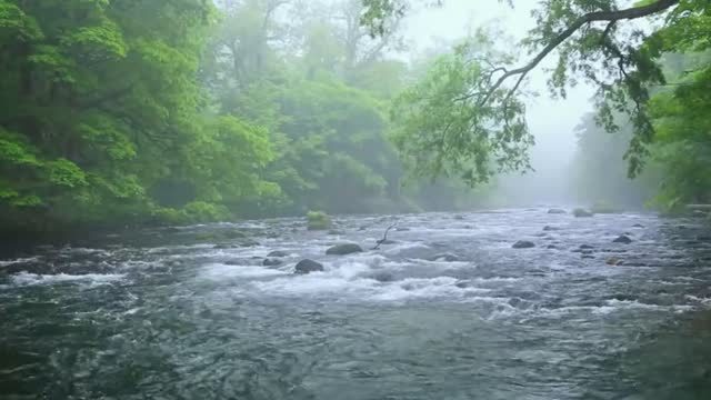 Timeless Calming Relaxing Rain Zen Meditation