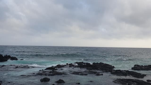 Dolphin-infested areas in Jeju Island