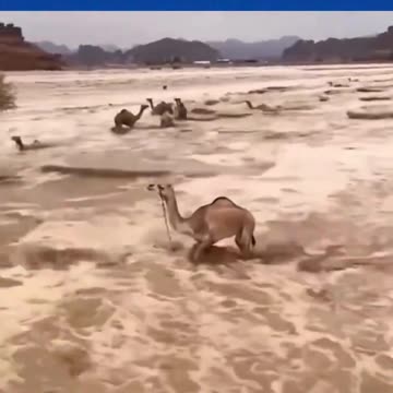 ★ Incroyable inondations extrêmes en Arabie Saoudite !