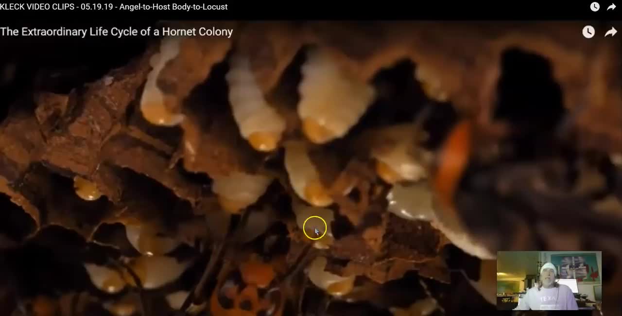 Lucifer's THRONE --- You Won't Believe your Eyes! The SERPENT Lifecycle -THEIR METHODOLOGY by Jonathan Kleck