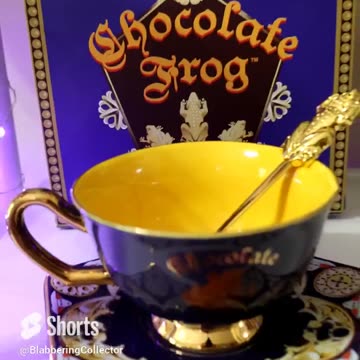 Would You Buy This Chocolate Frog Saucer? #wizardingworld #universalstudios #harrypotter