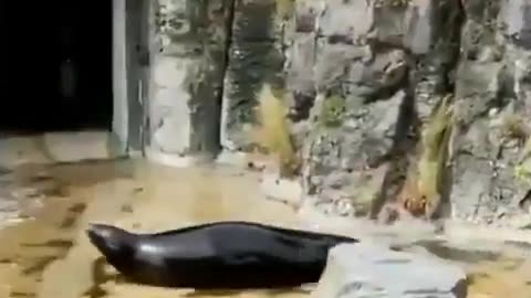 😂