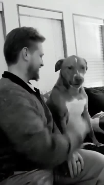 Ultimate Baby Dogs - Cute And Funny Dog Videos Compilation #shorts