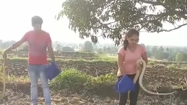 How to catch a snake.Don't try this.