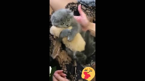 DO YOU WANT TO SEE HOW CUDDLY THEY ARE?