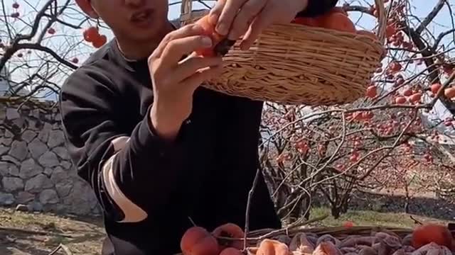 Farm Fresh Ninja Fruit Cutting Desi Satisfying Fruit Ninja Fruit Ideas | Amazing Fruits Video