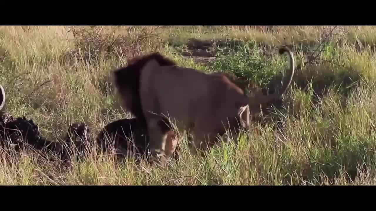 Beautiful nature