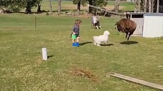 Wait for it?!